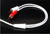 3.5mm stereo plug to 2x RCA plug is audio cable 