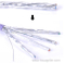 2014 HOT Sell 75ohm Coaxial Cable Rg11 With Messenger