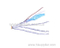 High Speed SSTP Cat6a Network Lan Cable Pass Fluke Test
